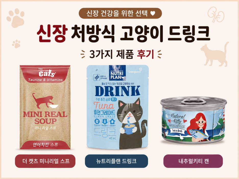 고양이 드링크 후기